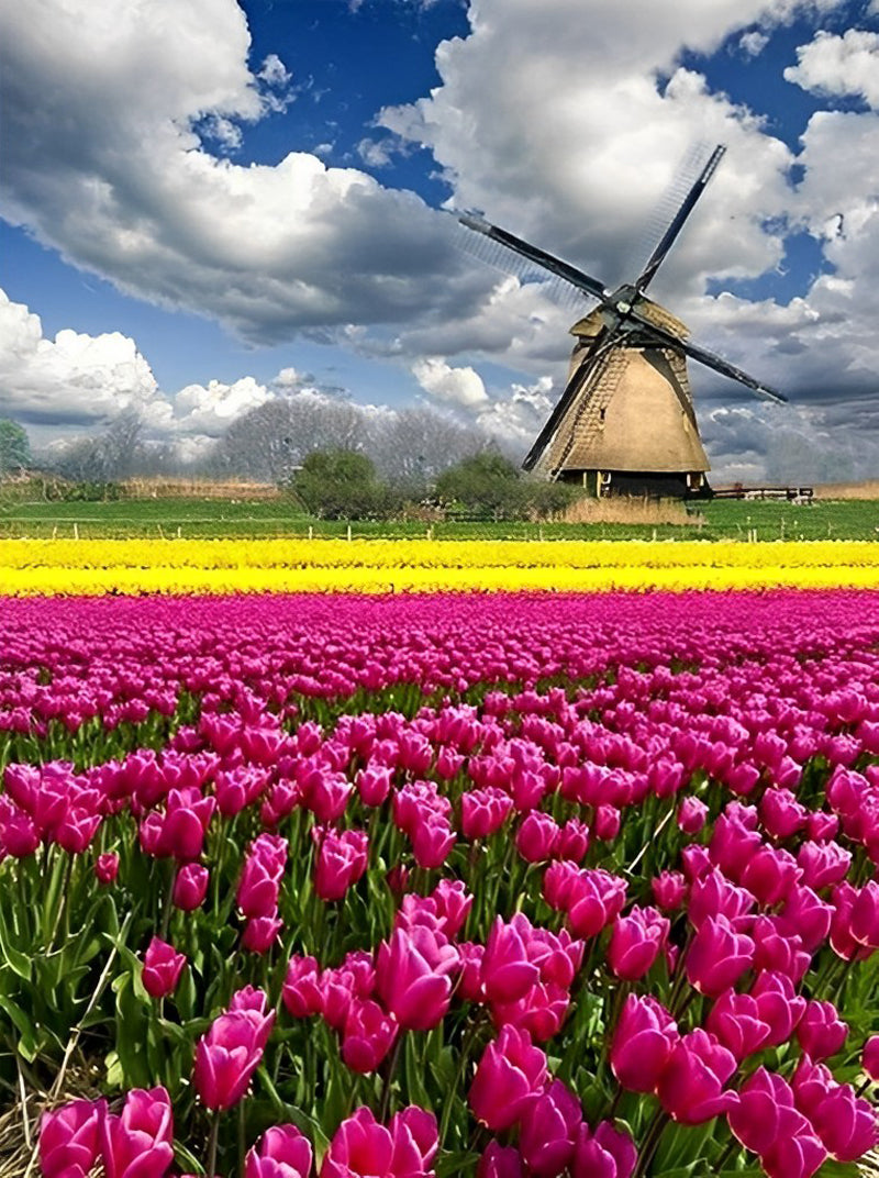 Tulpen und Windm¨¹hle Diamond Painting