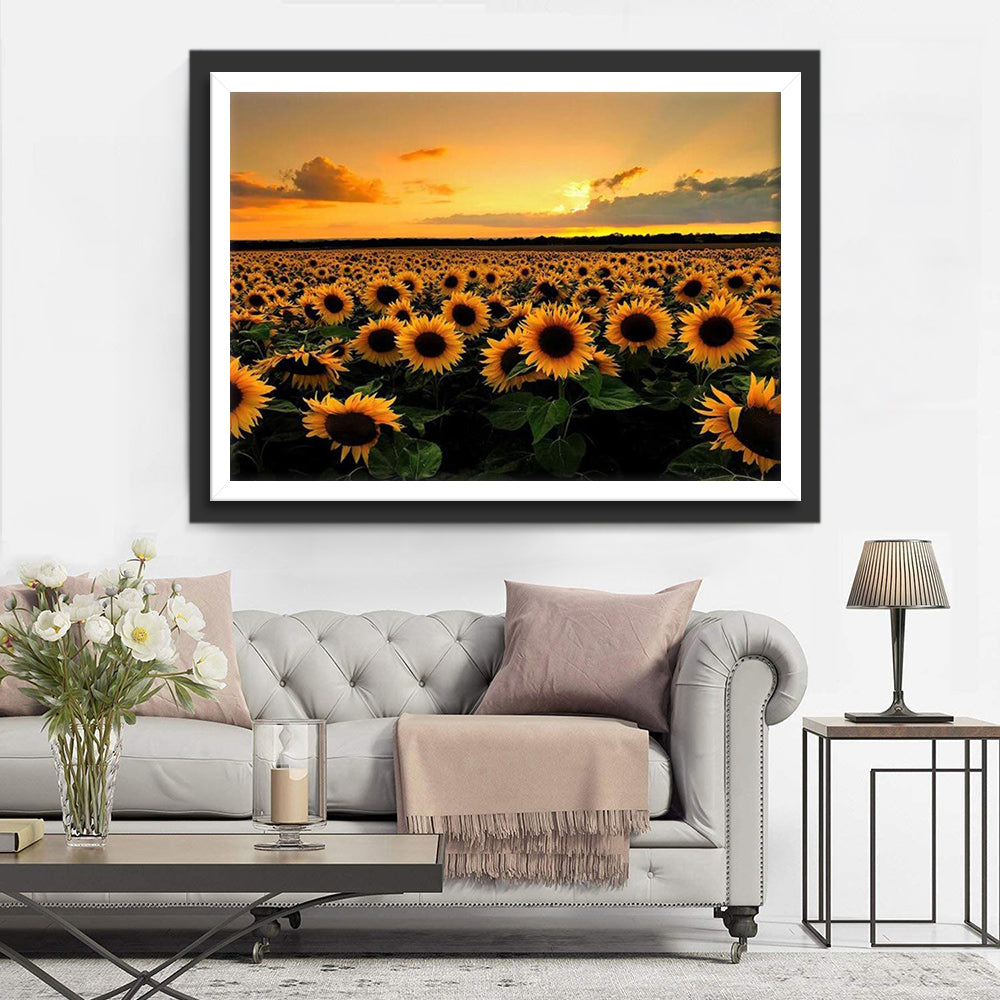 Peinture au diamant au coucher du soleil sur le champ de tournesol
