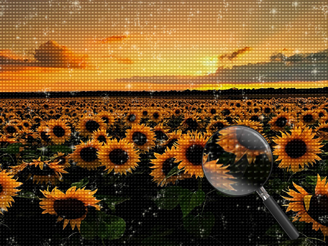 Peinture au diamant au coucher du soleil sur le champ de tournesol