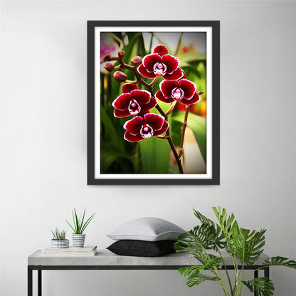 Red Phalaenopsis Diamond Painting