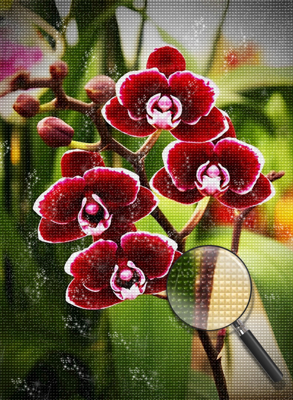 Red Phalaenopsis Diamond Painting