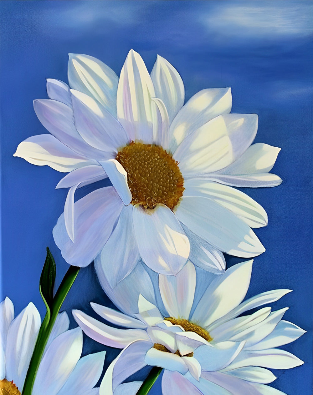 White Daisies Diamond Painting