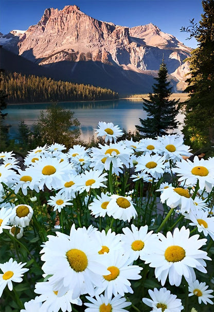 White daisies on the foot? of the Mountain Diamond Painting