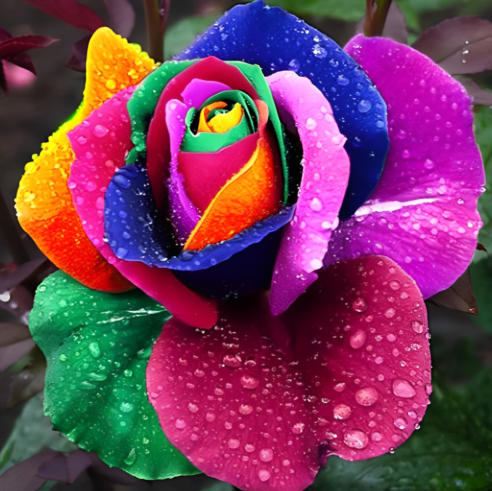 Rainbow Rose Diamond Painting