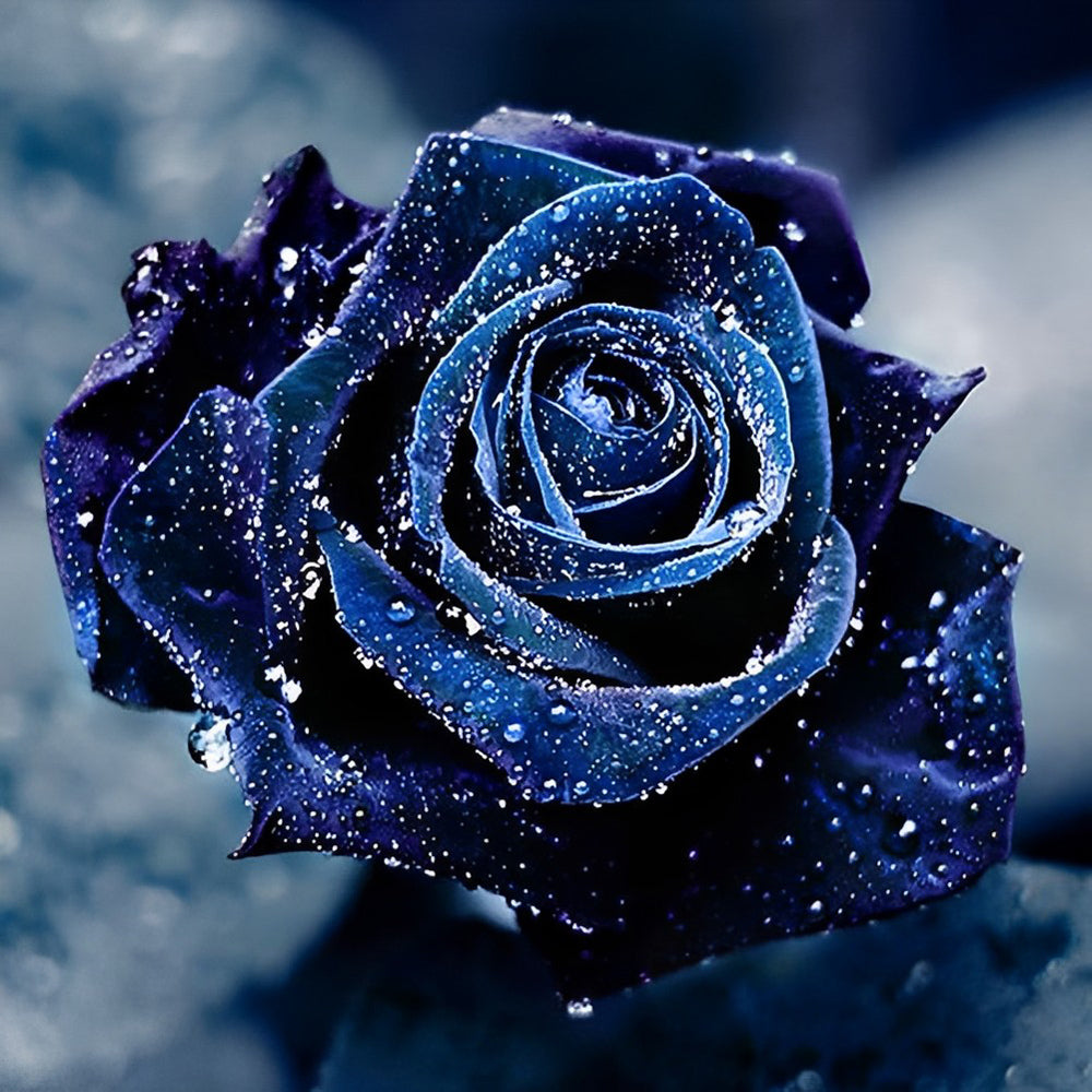 Dark Blue Rose Diamond Painting