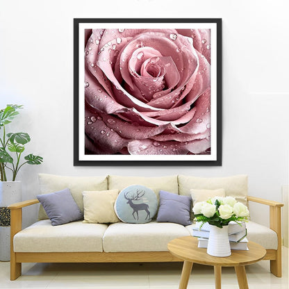 Rosa Rose mit Wassertropfen Diamond Painting