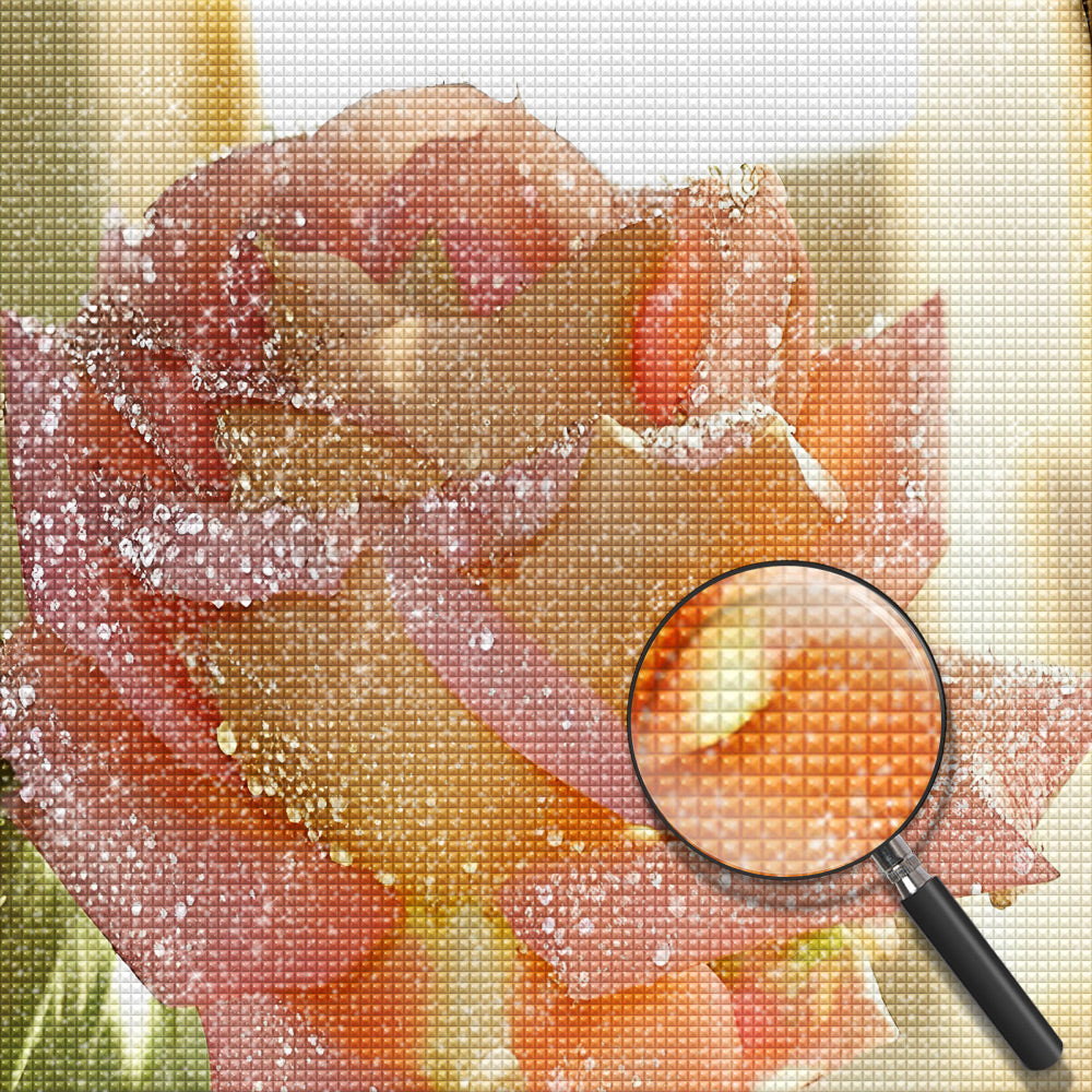 Pink Rose with Dewdrops Diamond Painting