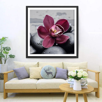 Orchids and black pebbles diamond painting