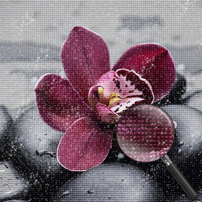 Orchideen und schwarze Kieselsteine Diamond Painting