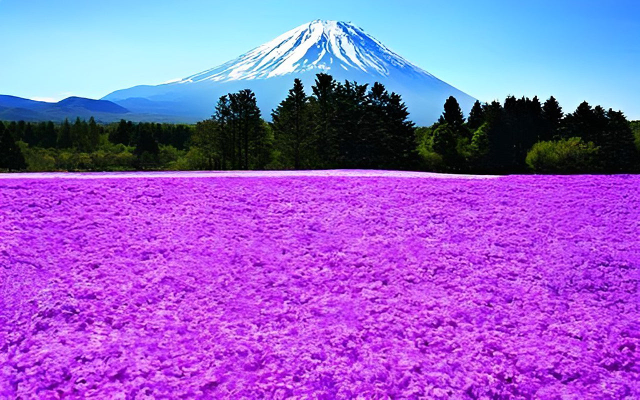 Fuji and purple flower field diamond painting