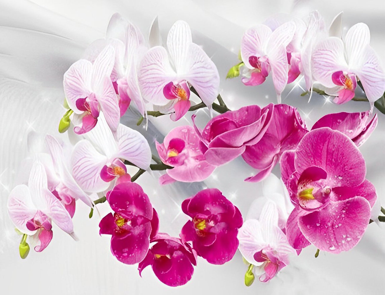 Red and pink orchids diamond painting