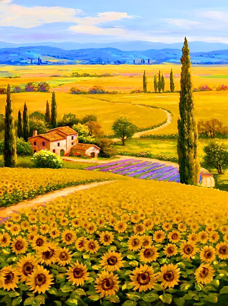 Sunflower Field Diamond Painting