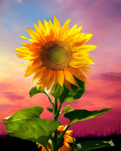 Sunflower Sunset Diamond Painting