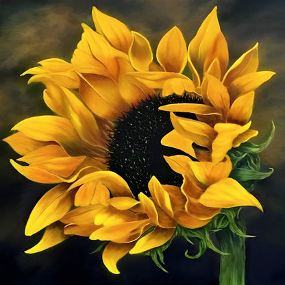 Sonnenblume im Dunkeln Diamond Painting