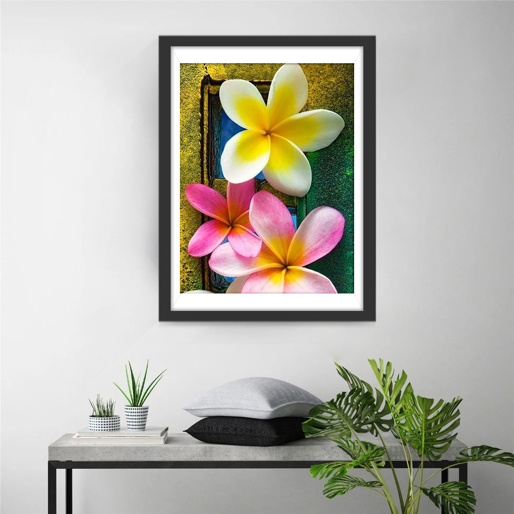 Blumen Plumeria Diamond Painting