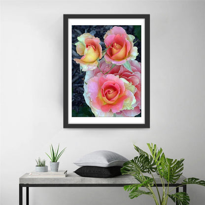 Peinture diamant roses roses