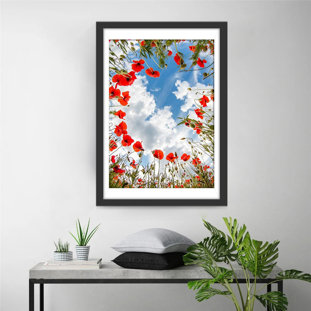 Rote Mohnblumen und wei?e Wolken Diamond Painting