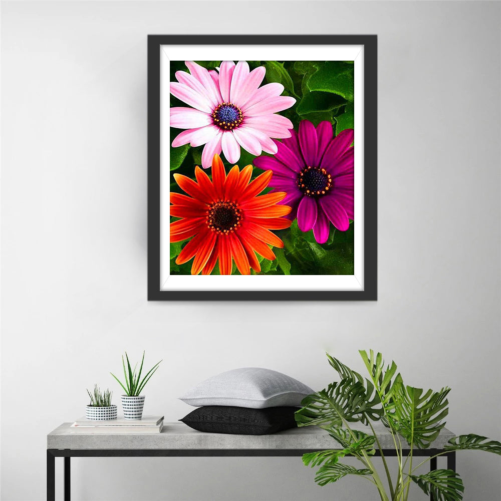 Chrysanthemums in three colors Diamond Painting