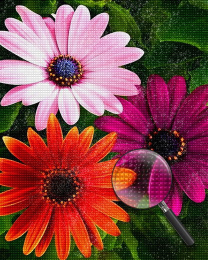 Chrysanthemums in three colors Diamond Painting