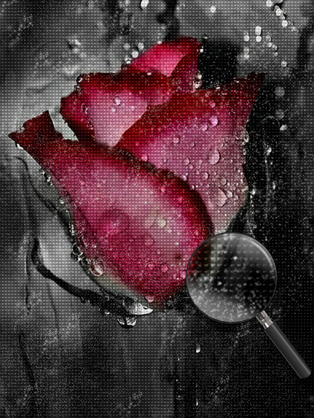 Rose avec rosée dans la peinture au diamant sombre