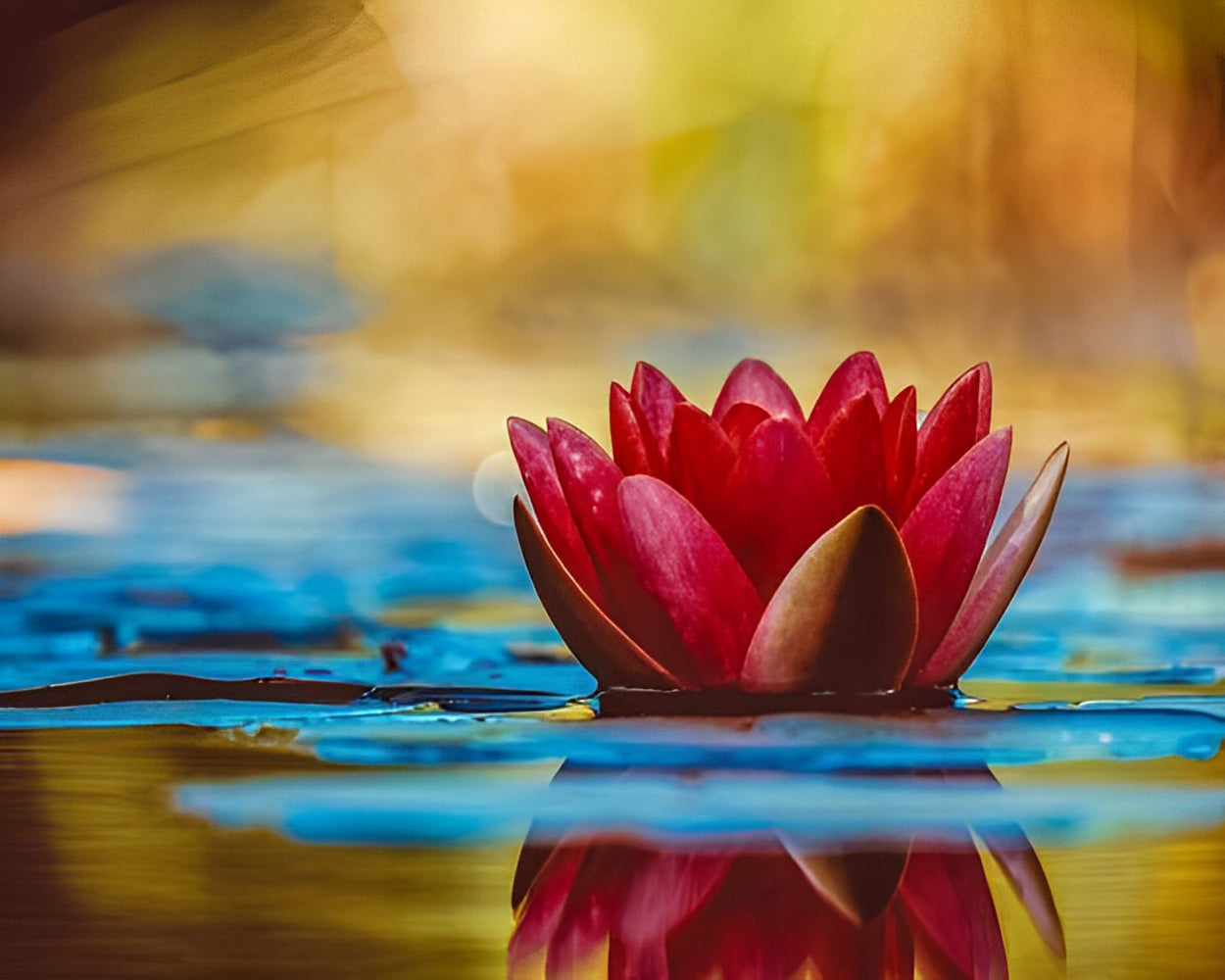 Lotus rouge sur la peinture de diamant d’eau