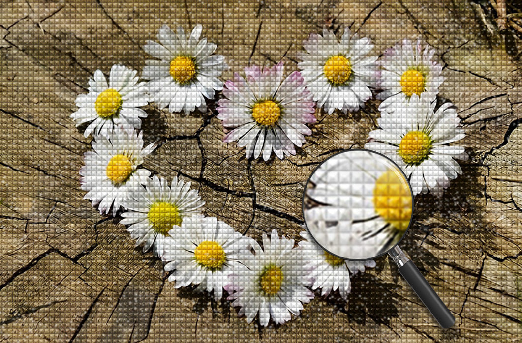 Peinture diamant coeur de marguerites au sol