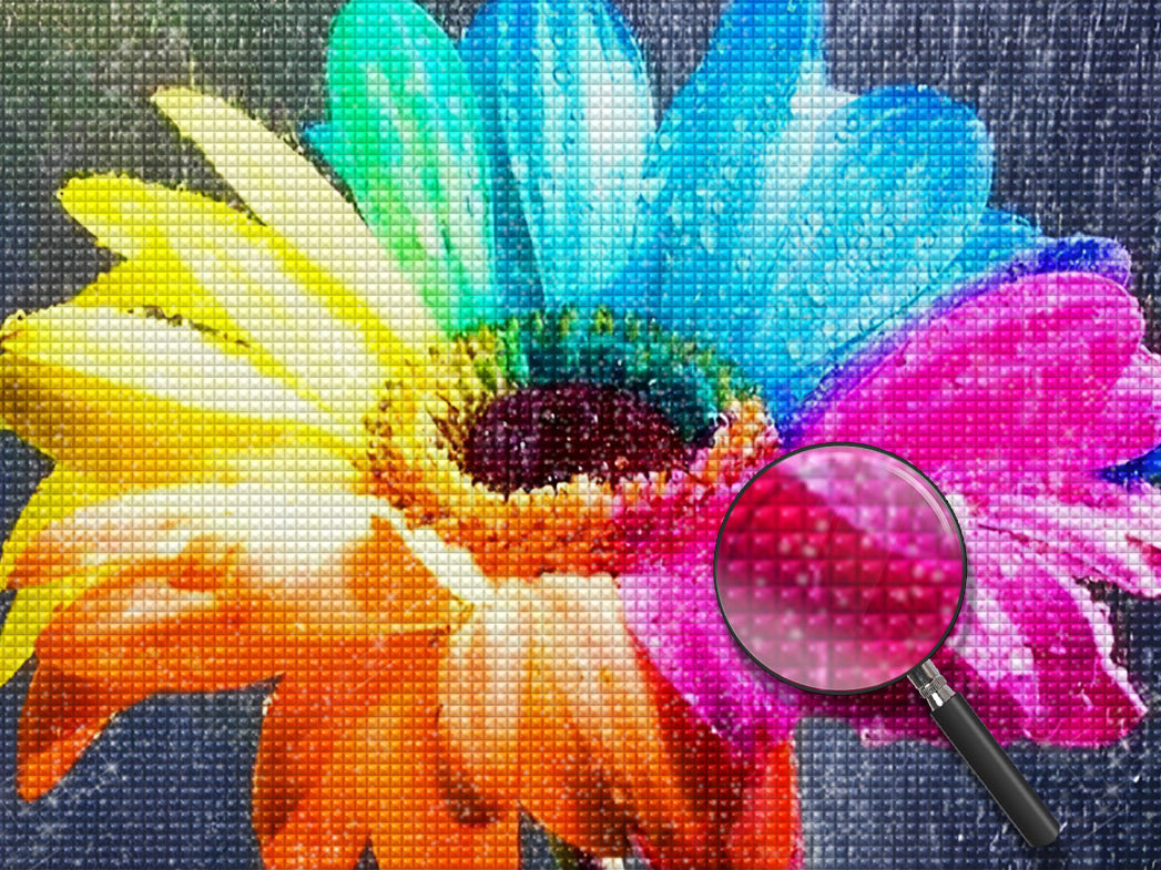 Regenbogen-G?nseblume und Tautropfen Diamond Painting