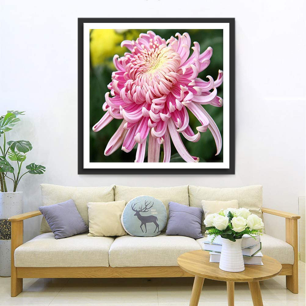 Rosa Chrysantheme Diamond Painting