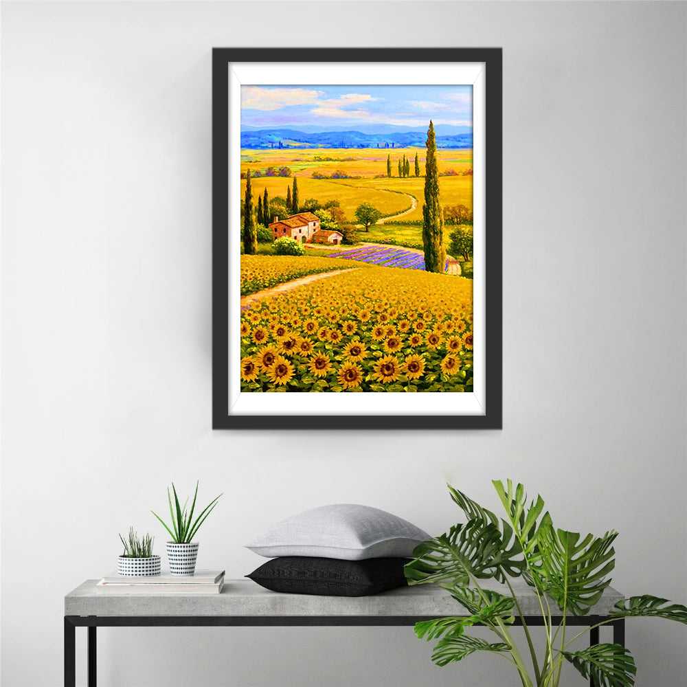 Sunflower Field Diamond Painting