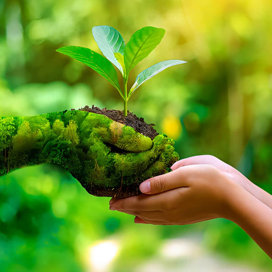 Baoea - Landschaft in der Hand
